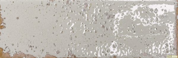 Musa Blanco Product Image 2