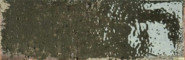 Musa Oliva Product Image